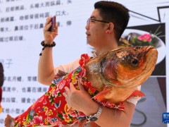 海外網(wǎng)評：中俄博覽會服務(wù)中俄，貢獻(xiàn)世界